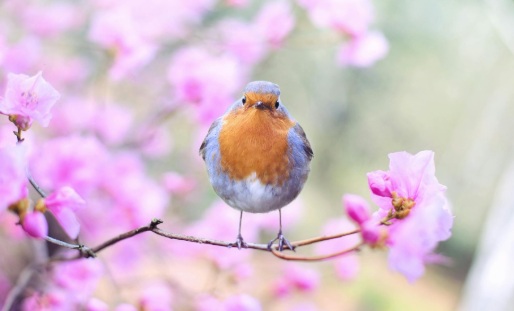 Interreg spring newsletter 